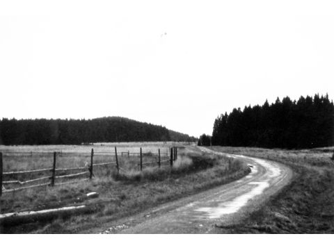 Foto 41